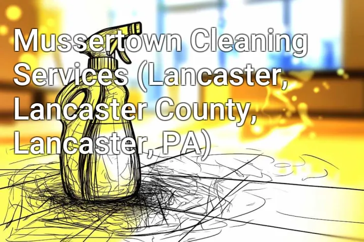 Mussertown Cleaning Services (Lancaster, Lancaster County, Lancaster, PA)