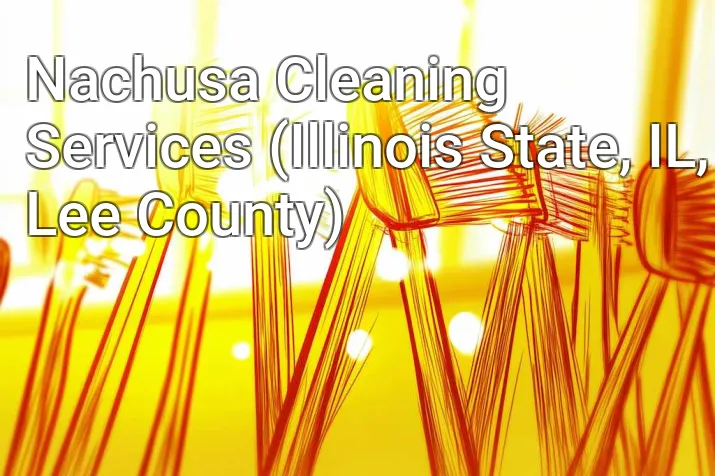 Nachusa Cleaning Services (Illinois State, IL, Lee County)