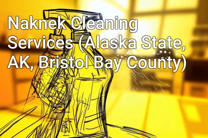 Naknek Cleaning Services (Alaska State, AK, Bristol Bay County)