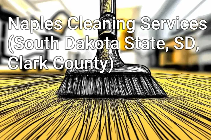Naples Cleaning Services (South Dakota State, SD, Clark County)