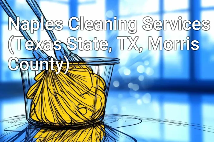 Naples Cleaning Services (Texas State, TX, Morris County)