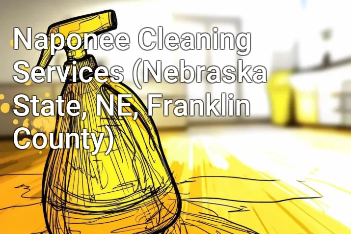 Naponee Cleaning Services (Nebraska State, NE, Franklin County)