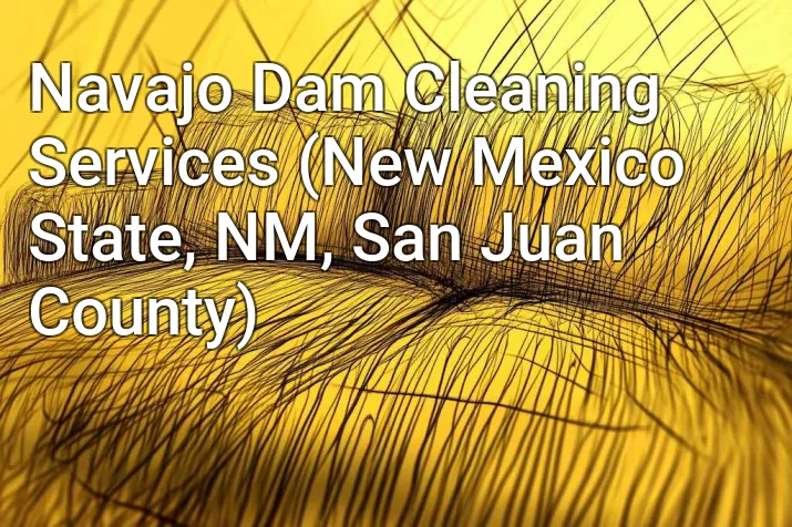 Navajo Dam Cleaning Services (New Mexico State, NM, San Juan County)