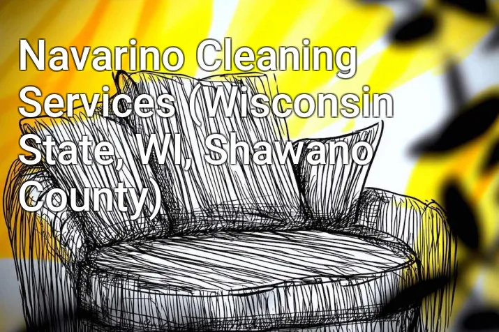 Navarino Cleaning Services (Wisconsin State, WI, Shawano County)