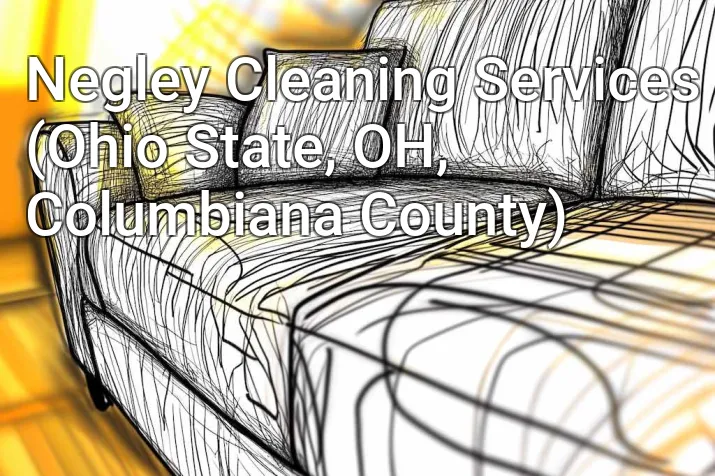 Negley Cleaning Services (Ohio State, OH, Columbiana County)
