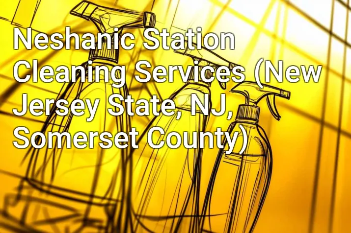 Neshanic Station Cleaning Services (New Jersey State, NJ, Somerset County)