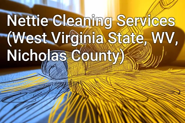 Nettie Cleaning Services (West Virginia State, WV, Nicholas County)