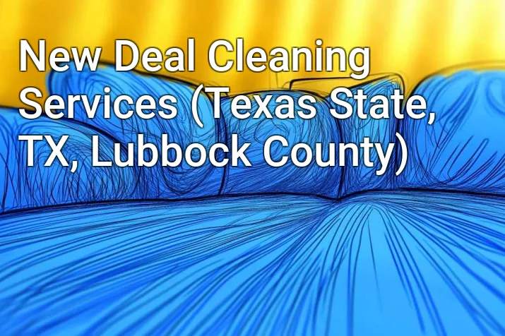 New Deal Cleaning Services (Texas State, TX, Lubbock County)