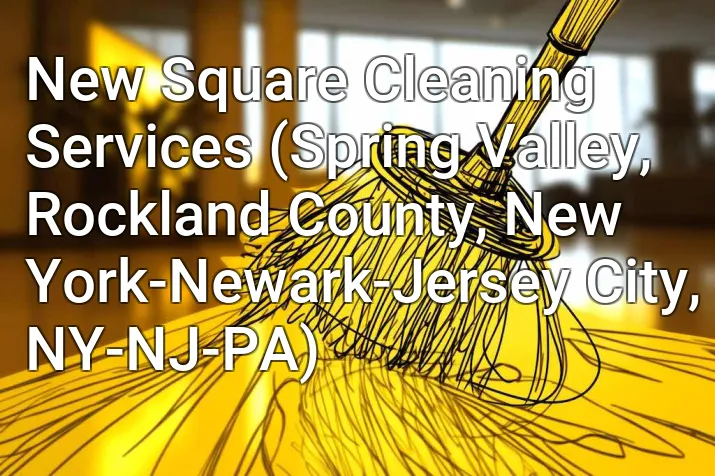 New Square Cleaning Services (Spring Valley, Rockland County, New York-Newark-Jersey City, NY-NJ-PA)