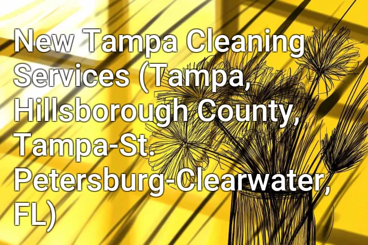 New Tampa Cleaning Services (Tampa, Hillsborough County, Tampa-St. Petersburg-Clearwater, FL)