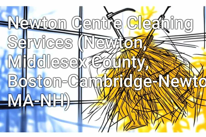 Newton Centre Cleaning Services (Newton, Middlesex County, Boston-Cambridge-Newton, MA-NH)
