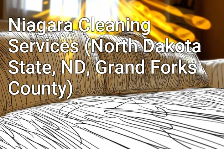 Niagara Cleaning Services (North Dakota State, ND, Grand Forks County)