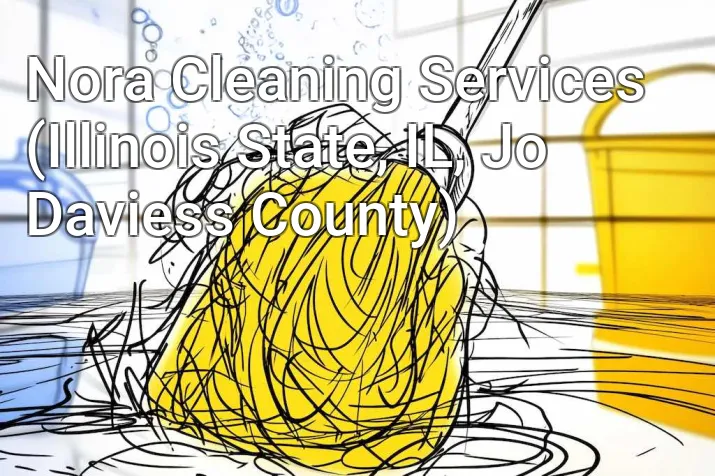 Nora Cleaning Services (Illinois State, IL, Jo Daviess County)