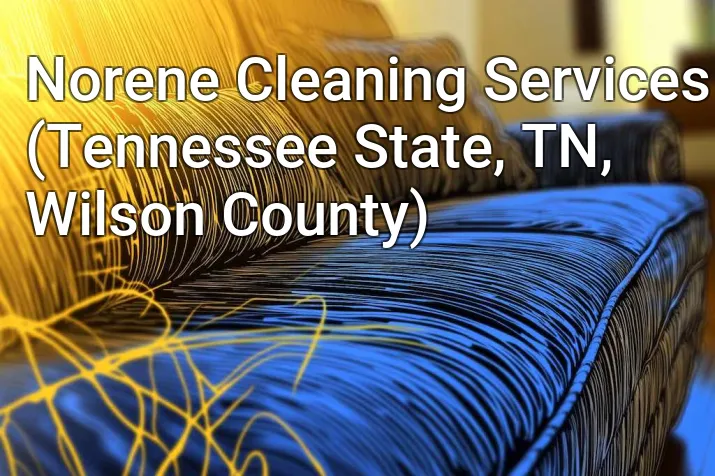 Norene Cleaning Services (Tennessee State, TN, Wilson County)