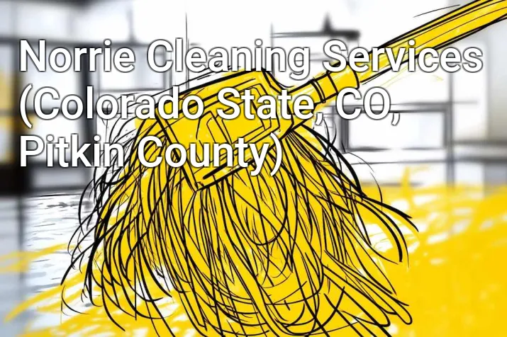 Norrie Cleaning Services (Colorado State, CO, Pitkin County)