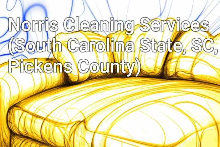 Norris Cleaning Services (South Carolina State, SC, Pickens County)