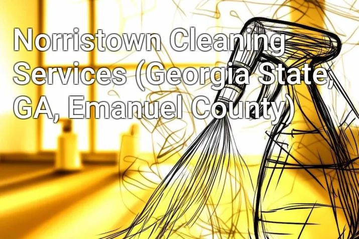 Norristown Cleaning Services (Georgia State, GA, Emanuel County)