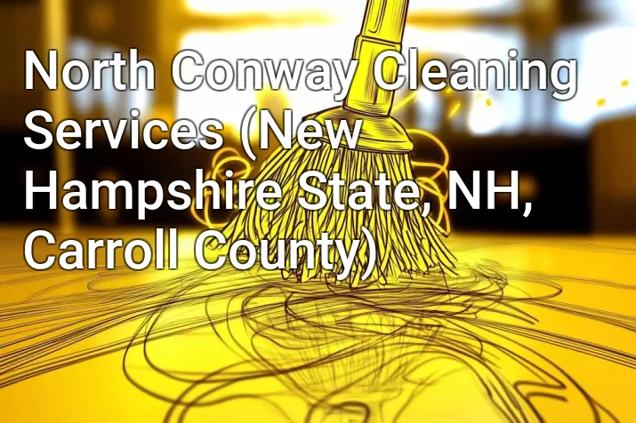 North Conway Cleaning Services (New Hampshire State, NH, Carroll County)