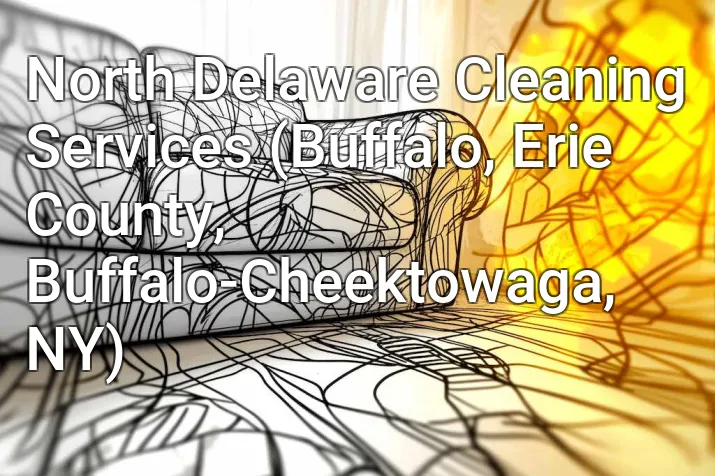 North Delaware Cleaning Services (Buffalo, Erie County, Buffalo-Cheektowaga, NY)