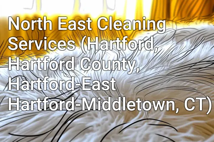 North East Cleaning Services (Hartford, Hartford County, Hartford-East Hartford-Middletown, CT)