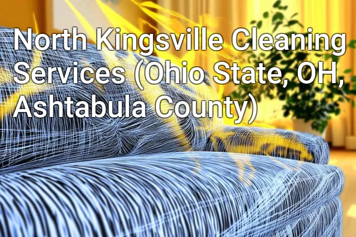 North Kingsville Cleaning Services (Ohio State, OH, Ashtabula County)