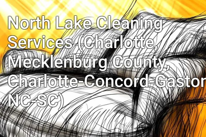 North Lake Cleaning Services (Charlotte, Mecklenburg County, Charlotte-Concord-Gastonia, NC-SC)