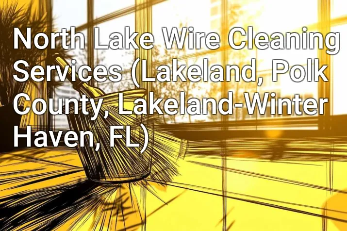 North Lake Wire Cleaning Services (Lakeland, Polk County, Lakeland-Winter Haven, FL)