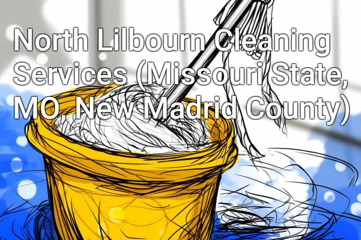 North Lilbourn Cleaning Services (Missouri State, MO, New Madrid County)