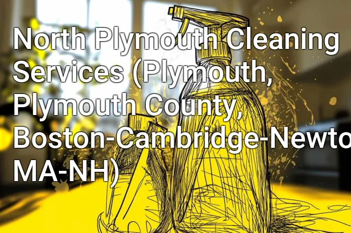 North Plymouth Cleaning Services (Plymouth, Plymouth County, Boston-Cambridge-Newton, MA-NH)