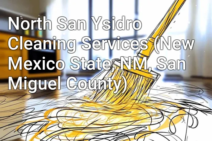 North San Ysidro Cleaning Services (New Mexico State, NM, San Miguel County)