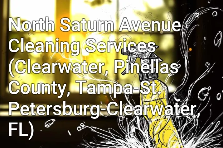 North Saturn Avenue Cleaning Services (Clearwater, Pinellas County, Tampa-St. Petersburg-Clearwater, FL)