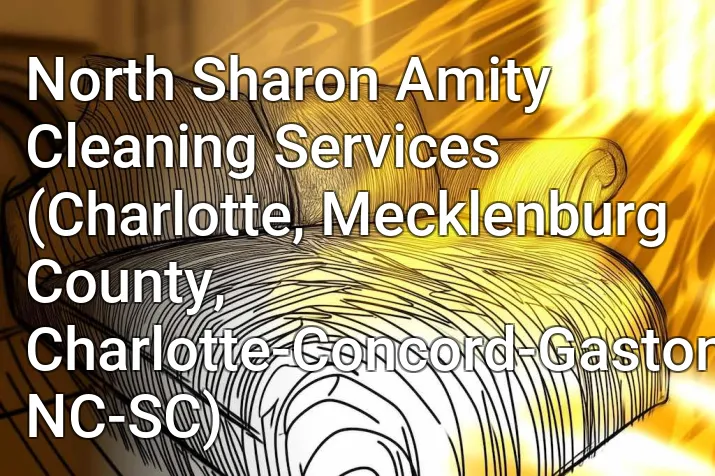 North Sharon Amity Cleaning Services (Charlotte, Mecklenburg County, Charlotte-Concord-Gastonia, NC-SC)