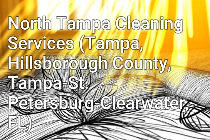 North Tampa Cleaning Services (Tampa, Hillsborough County, Tampa-St. Petersburg-Clearwater, FL)
