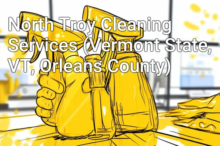 North Troy Cleaning Services (Vermont State, VT, Orleans County)