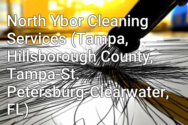 North Ybor Cleaning Services (Tampa, Hillsborough County, Tampa-St. Petersburg-Clearwater, FL)