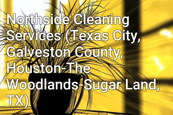 Northside Cleaning Services (Texas City, Galveston County, Houston-The Woodlands-Sugar Land, TX)