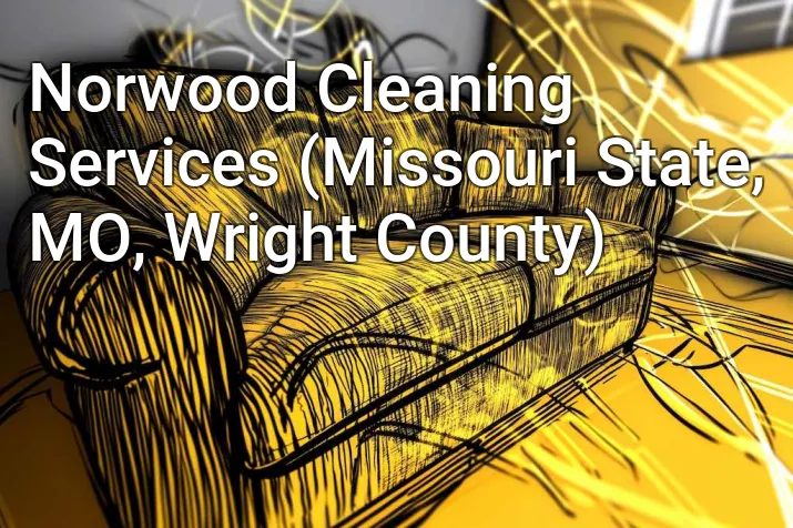 Norwood Cleaning Services (Missouri State, MO, Wright County)
