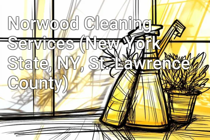 Norwood Cleaning Services (New York State, NY, St. Lawrence County)
