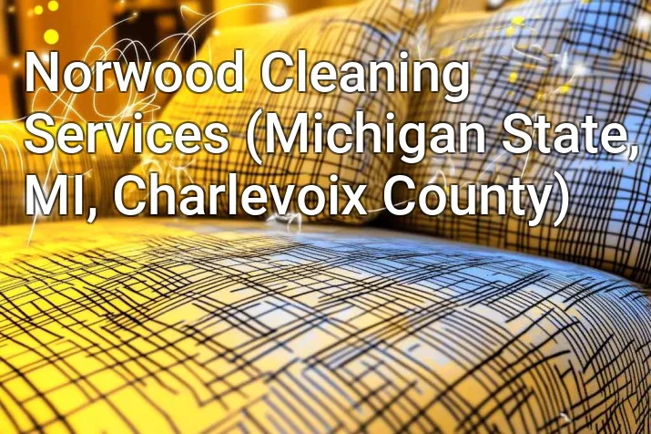 Norwood Cleaning Services (Michigan State, MI, Charlevoix County)