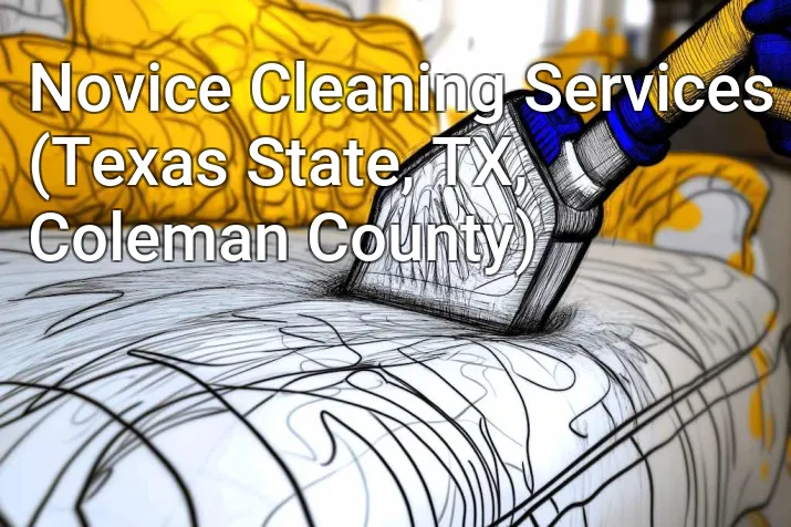 Novice Cleaning Services (Texas State, TX, Coleman County)