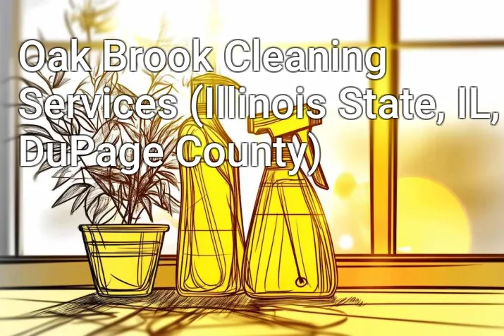 Oak Brook Cleaning Services (Illinois State, IL, DuPage County)
