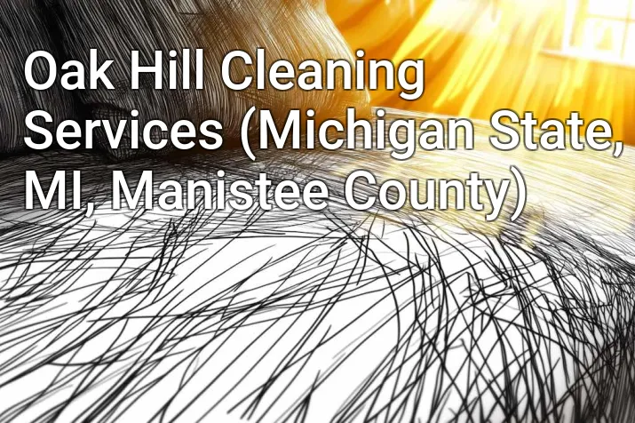 Oak Hill Cleaning Services (Michigan State, MI, Manistee County)