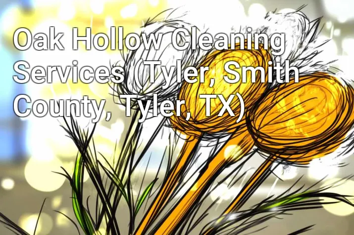 Oak Hollow Cleaning Services (Tyler, Smith County, Tyler, TX)
