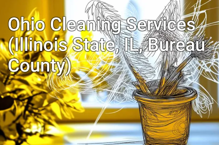 Ohio Cleaning Services (Illinois State, IL, Bureau County)