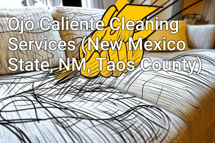 Ojo Caliente Cleaning Services (New Mexico State, NM, Taos County)