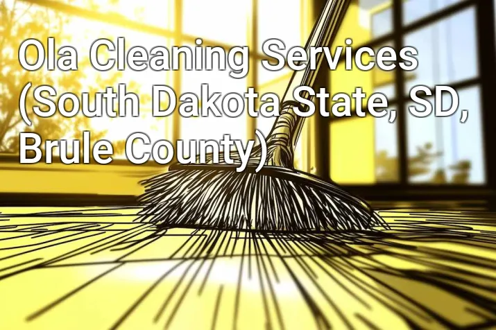 Ola Cleaning Services (South Dakota State, SD, Brule County)