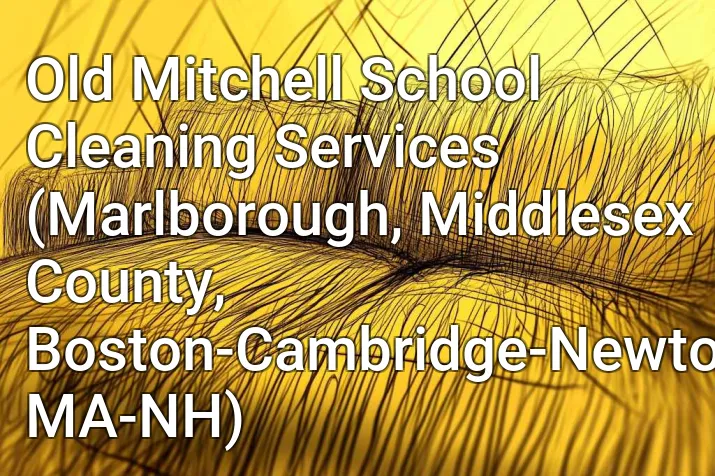 Old Mitchell School Cleaning Services (Marlborough, Middlesex County, Boston-Cambridge-Newton, MA-NH)
