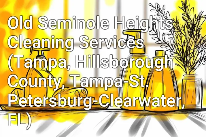 Old Seminole Heights Cleaning Services (Tampa, Hillsborough County, Tampa-St. Petersburg-Clearwater, FL)