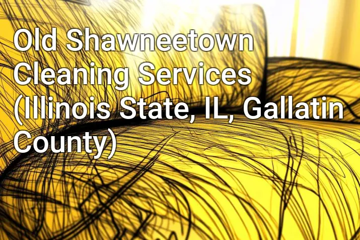 Old Shawneetown Cleaning Services (Illinois State, IL, Gallatin County)
