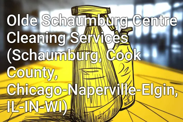 Olde Schaumburg Centre Cleaning Services (Schaumburg, Cook County, Chicago-Naperville-Elgin, IL-IN-WI)